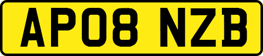 AP08NZB
