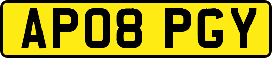 AP08PGY