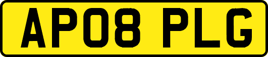 AP08PLG