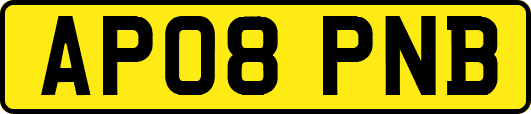 AP08PNB
