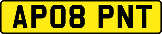 AP08PNT