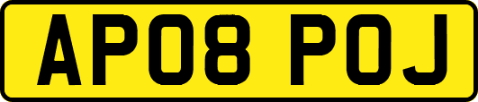 AP08POJ