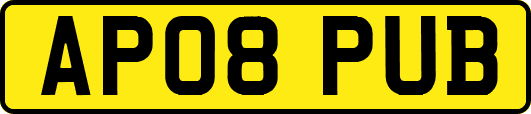 AP08PUB
