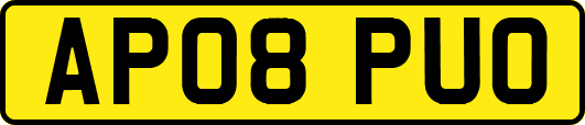 AP08PUO