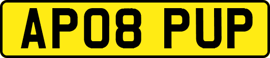 AP08PUP