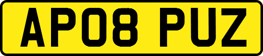 AP08PUZ