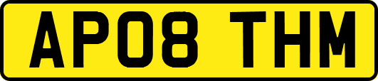 AP08THM