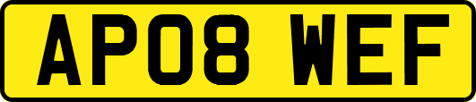 AP08WEF