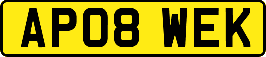 AP08WEK