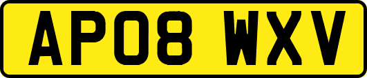 AP08WXV