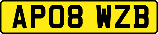AP08WZB