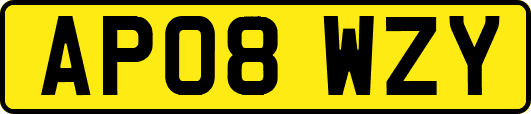AP08WZY