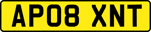 AP08XNT