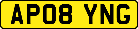 AP08YNG