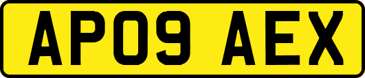 AP09AEX