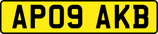 AP09AKB