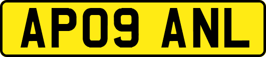 AP09ANL