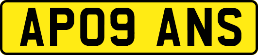 AP09ANS