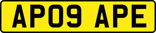 AP09APE