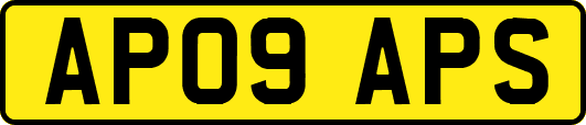 AP09APS