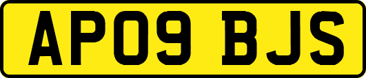 AP09BJS