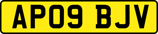AP09BJV