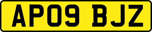 AP09BJZ