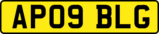 AP09BLG