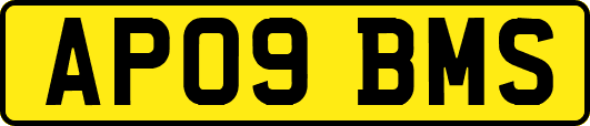AP09BMS