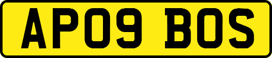 AP09BOS