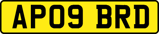 AP09BRD