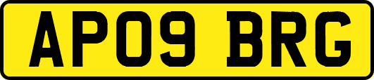 AP09BRG