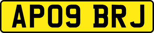 AP09BRJ