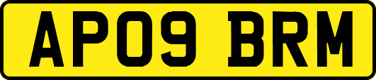AP09BRM
