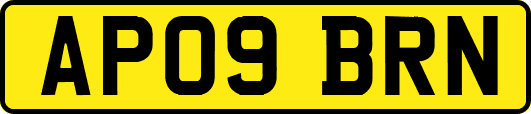 AP09BRN
