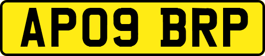 AP09BRP