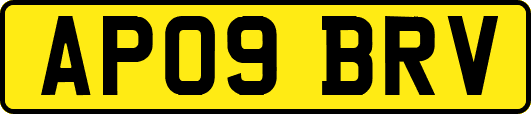 AP09BRV