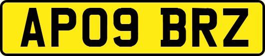 AP09BRZ