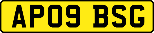 AP09BSG