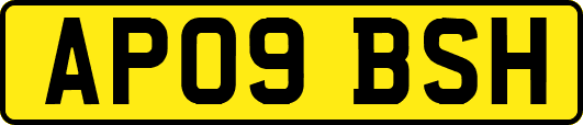 AP09BSH