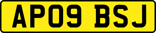 AP09BSJ