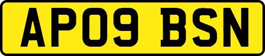 AP09BSN