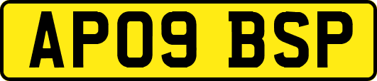 AP09BSP