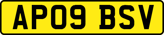 AP09BSV