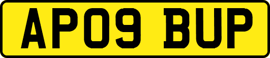 AP09BUP