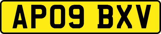 AP09BXV