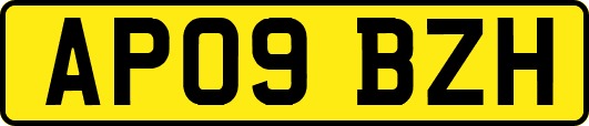 AP09BZH