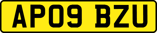 AP09BZU