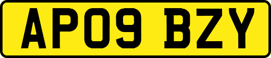 AP09BZY