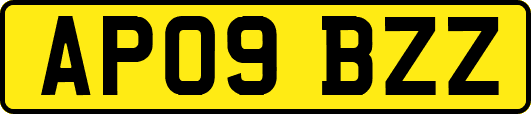 AP09BZZ